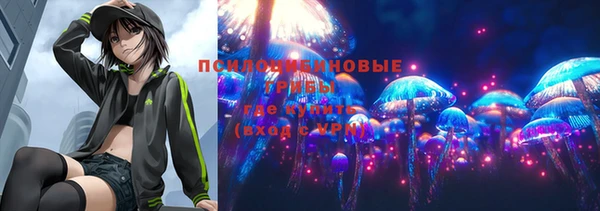 бошки Верхний Тагил