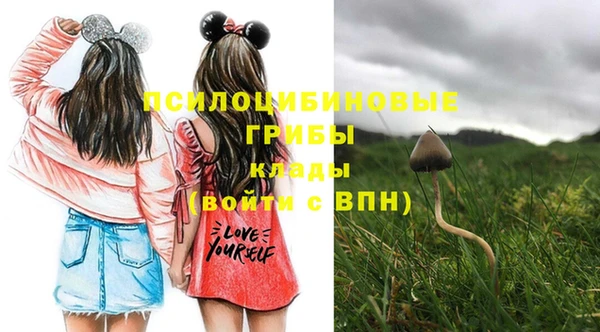 бошки Верхний Тагил