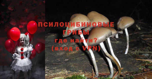 jwh Верея